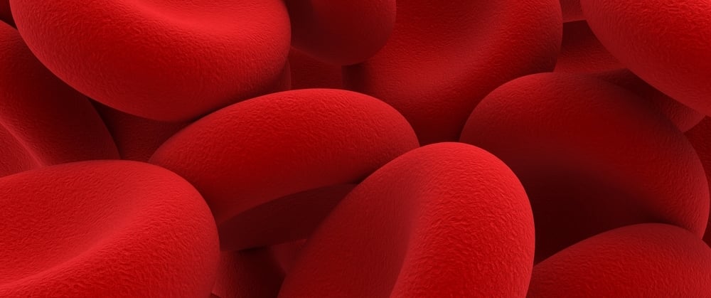 red-blood-cells