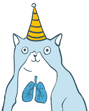 Air for Kids cat