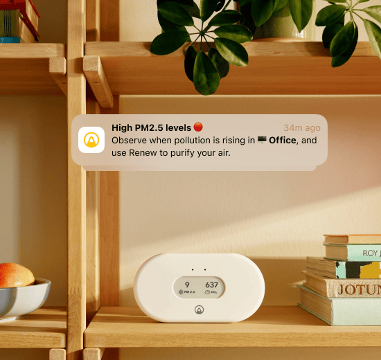 View Plus air quality monitor with high PM levels