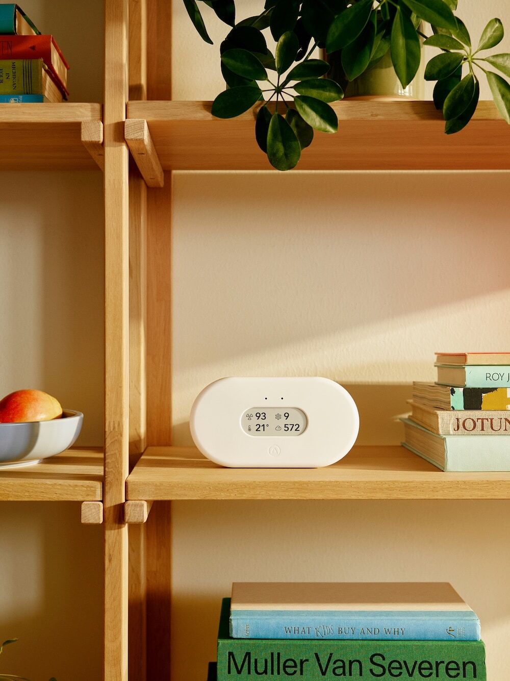 Airthings device used at home