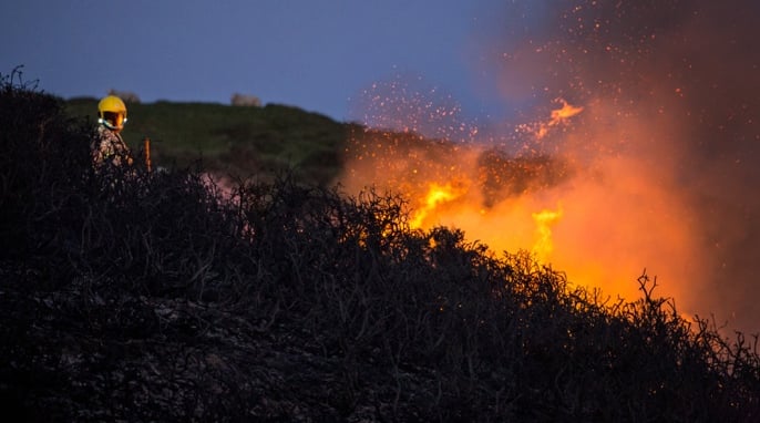 Airthings-wildfire-image
