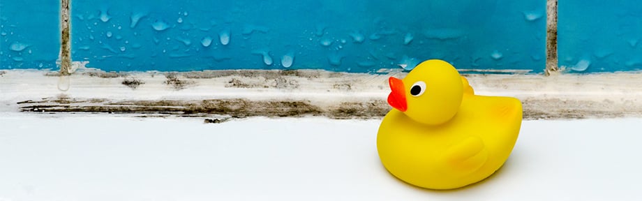 Rubber duck on windowsill with mold on the window sealant