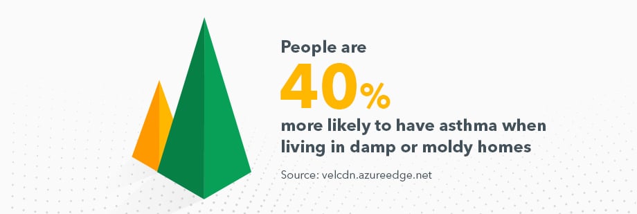 Chart showing that people are 40% more likely to have asthma when living in damp or moldy homes. Source: velcdn.azureedge.net