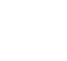 Connectivity icon