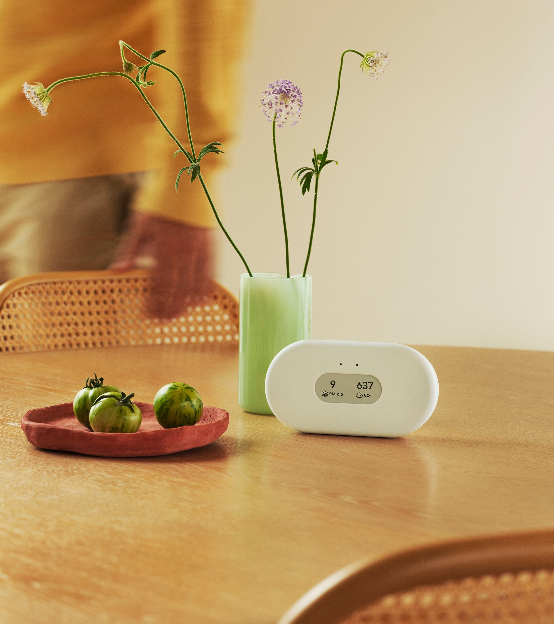 Airthings View Plus tracking pollen, humidity and VOCs for allergy and asthma triggers