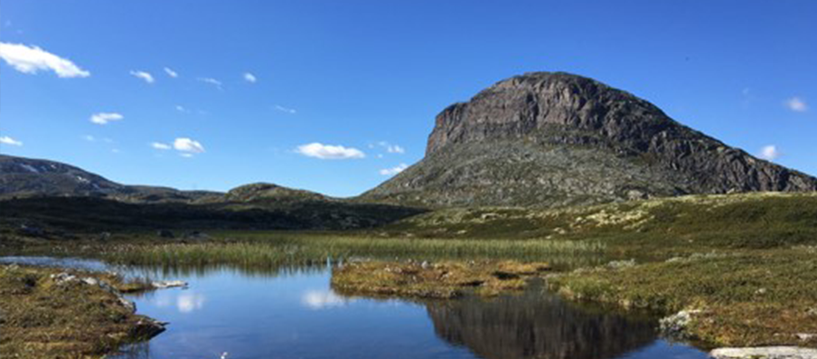 hemsedal-case-2