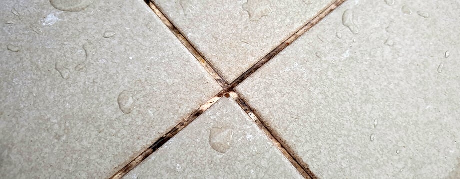 Mouldy tiles