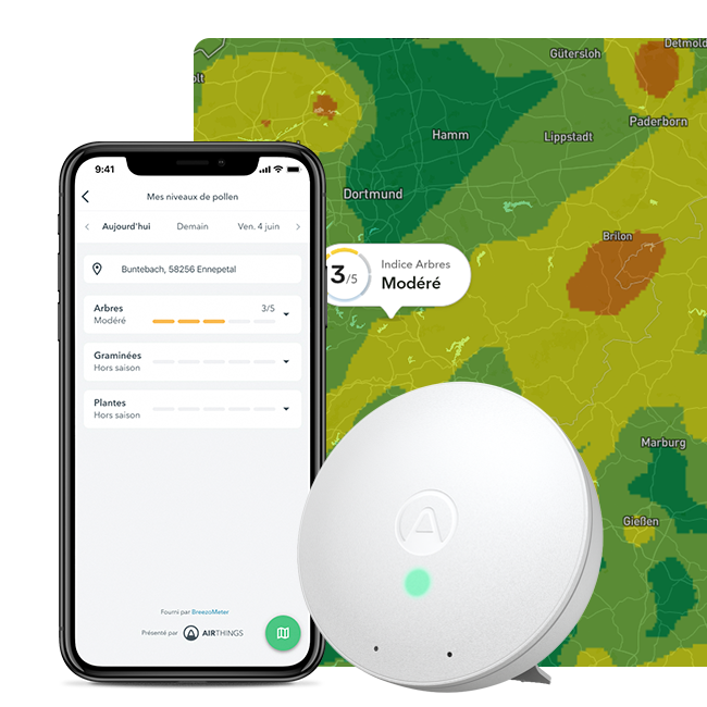 pollen-app-with-map-bg_french