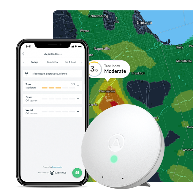 pollen-app-with-map-bg_wave-mini
