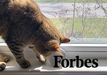 forbes-press-thumbnail