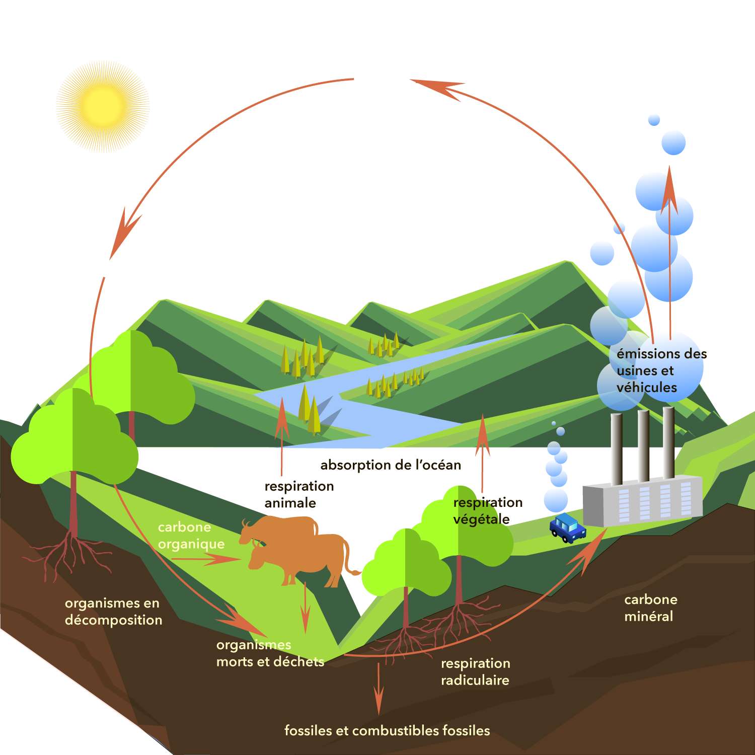 Airthings-graphic-carbon_cycle_FR