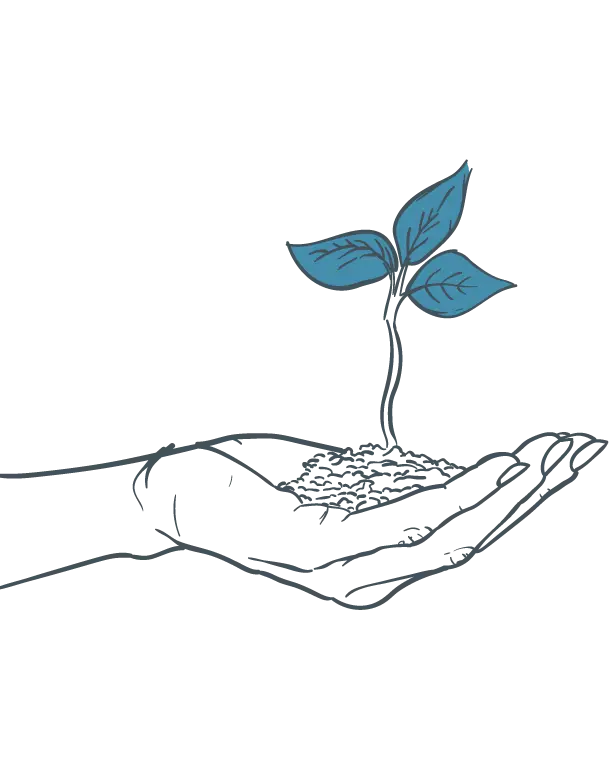 plant - no color