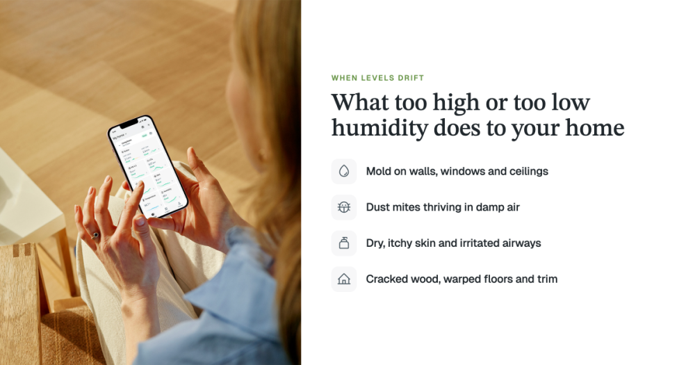 Image describing what humidity does to your home