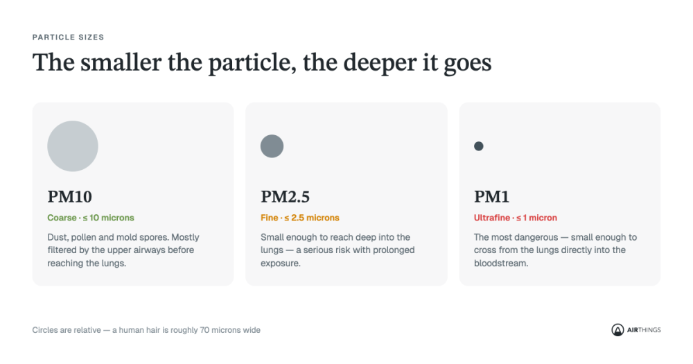 An overview of what different particle sizes are and what they look like and how they affect you
