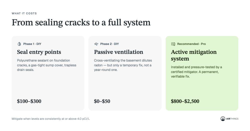 Table explaining DIY and professional mitigation with costs