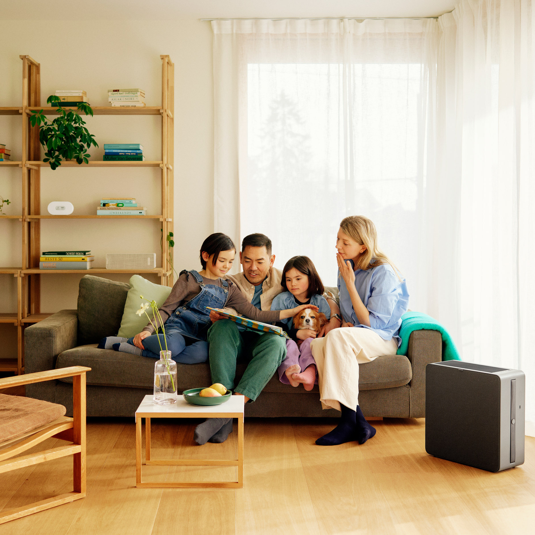 What is particulate matter? A guide to PM1, PM2.5 and PM10 and how it affects our health