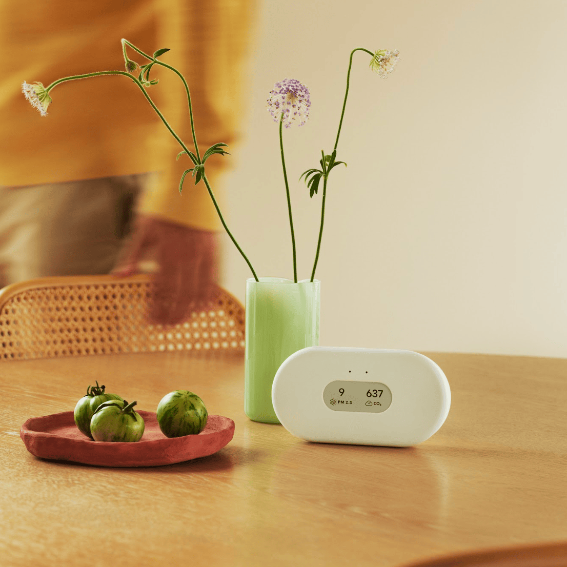 View Plus Air Quality Monitor by Airthings